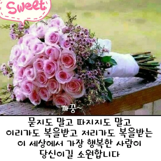파랑