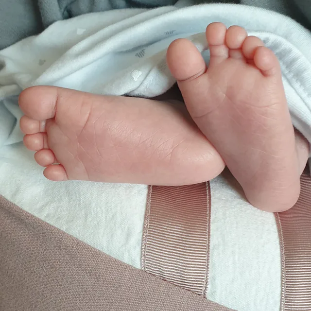 쥬토피아