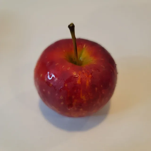 잡아라정신줄