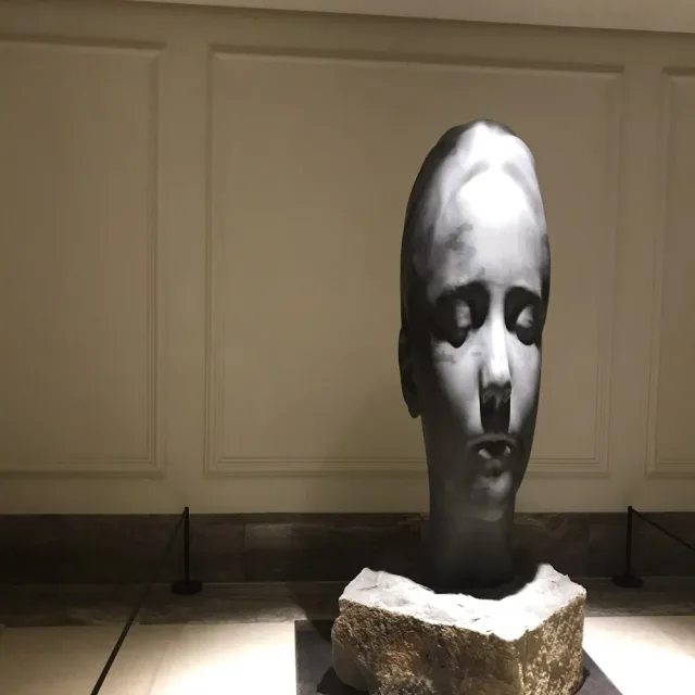 쿨거굳