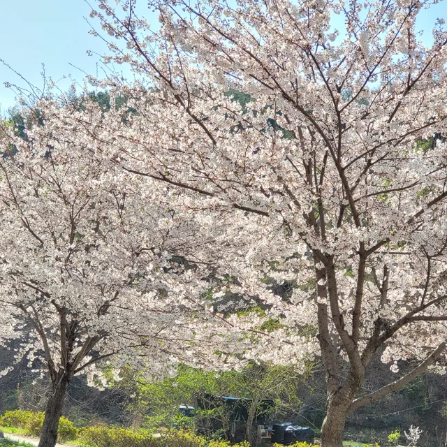 꿈꾸는날개
