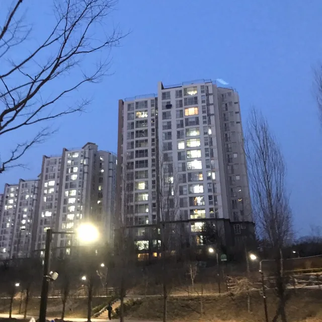 돌돌이