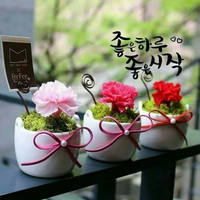 긍정