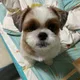 숙이