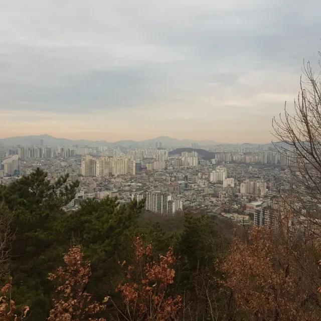 네모둥이