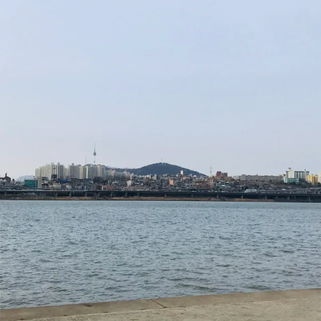 푸들비숑