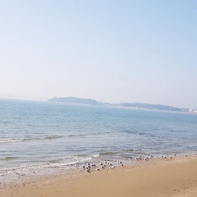 행복