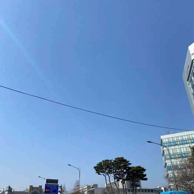 동키다람디