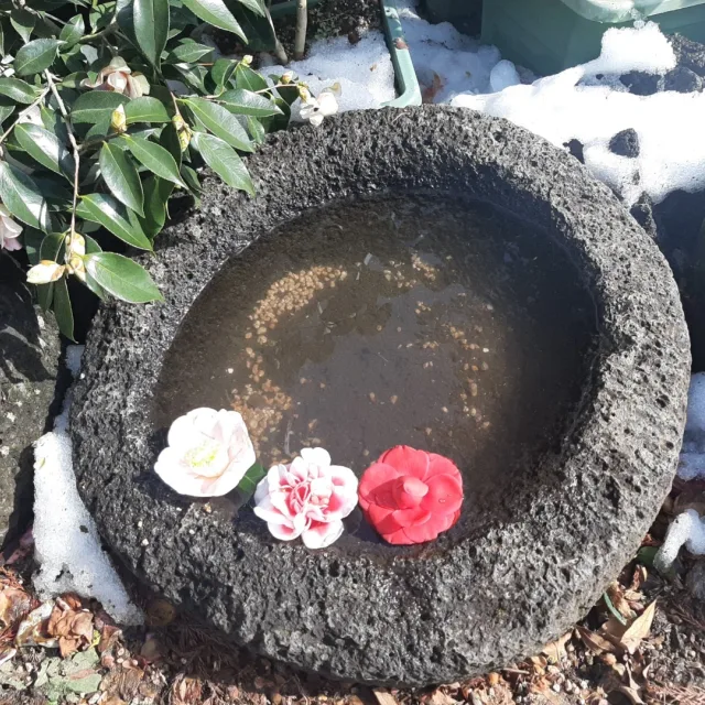 베리경