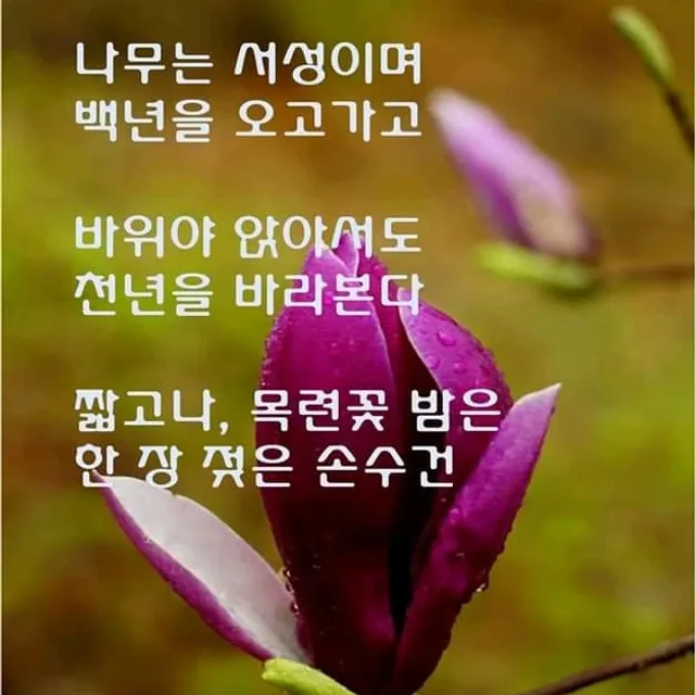 할머니