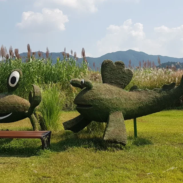 라벤더k