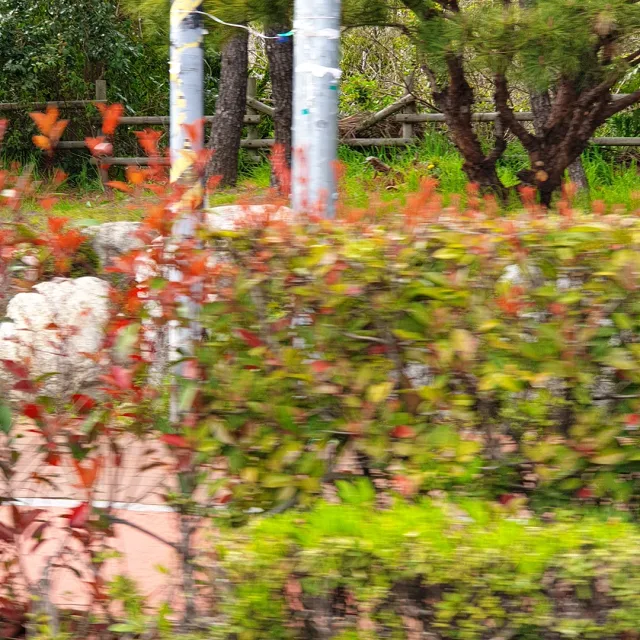 폭탄