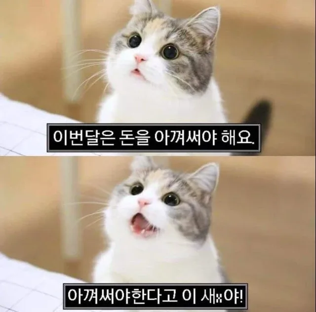 크뤼