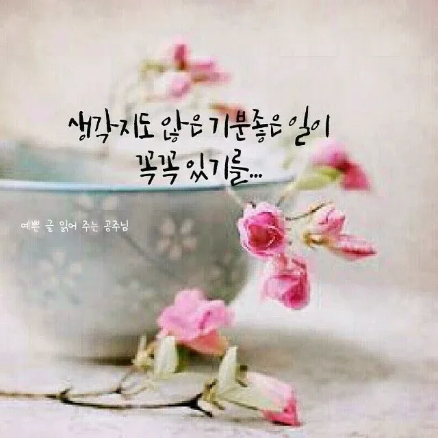 헬렌천사