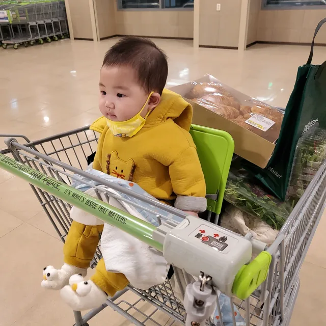 포도