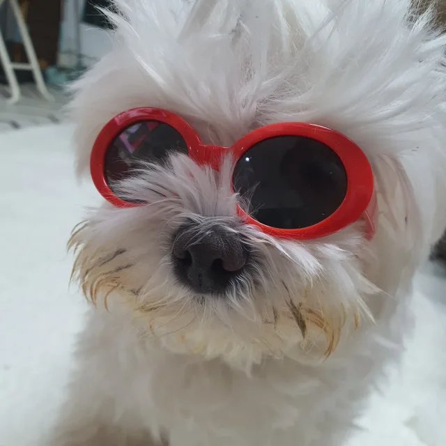 누리누나