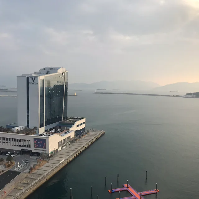도로동도