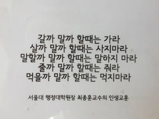 술취한똥파리