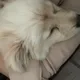 울타리