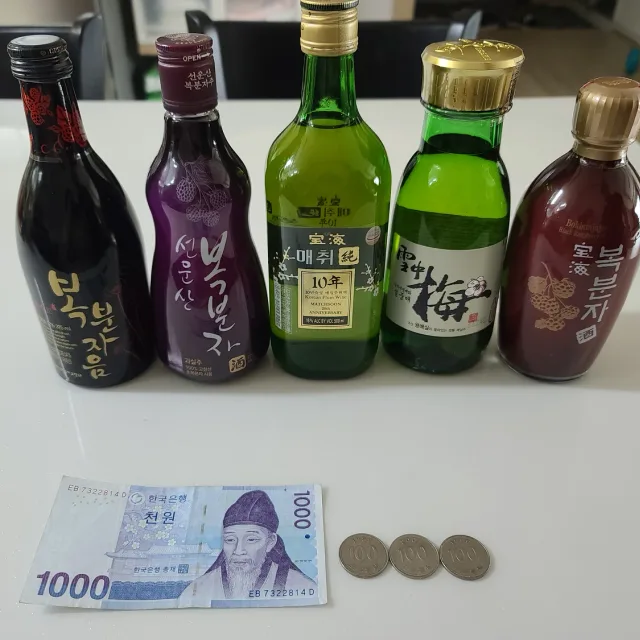 진또야지