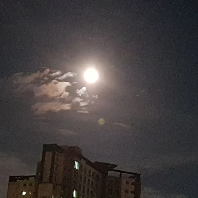 040017