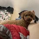 오순