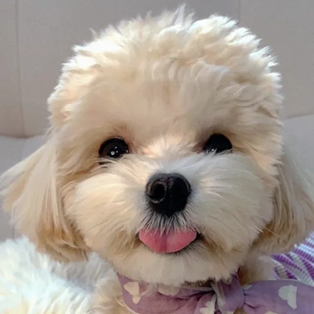 김하루