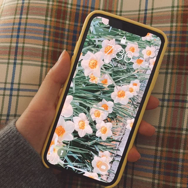 당근은영어로캐럿