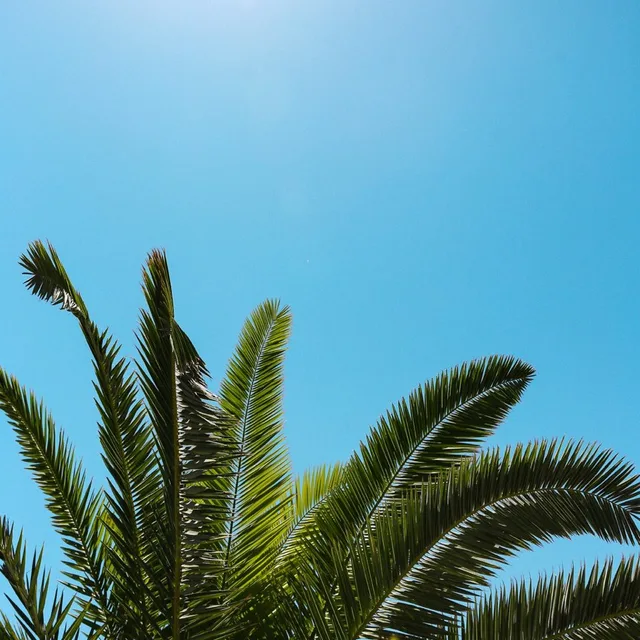 룰루랄라