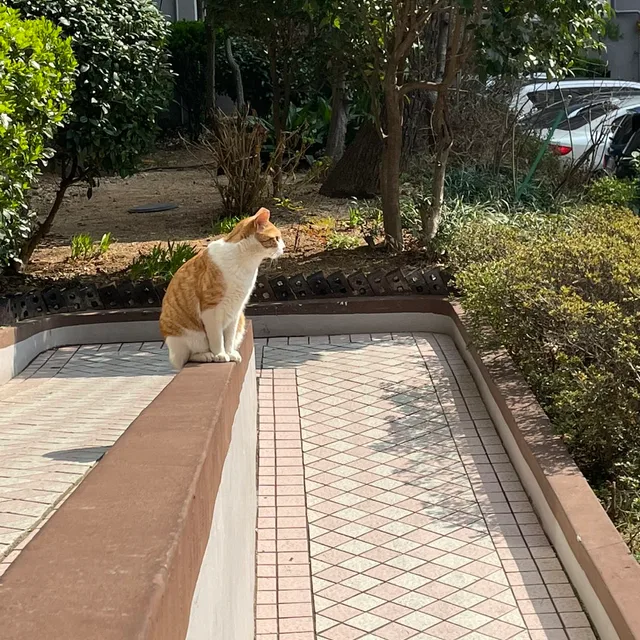 지렁이