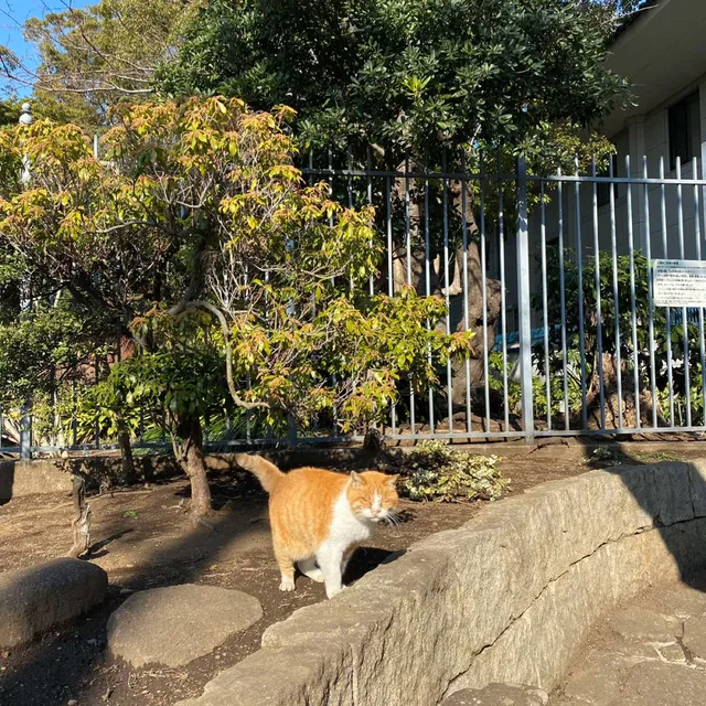유니