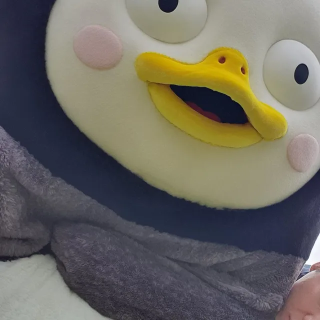 둥가둥가