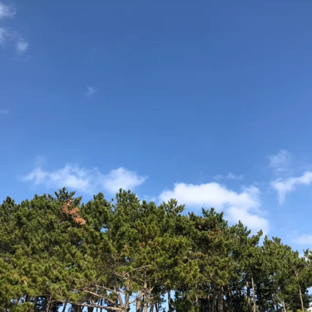 좋은것만
