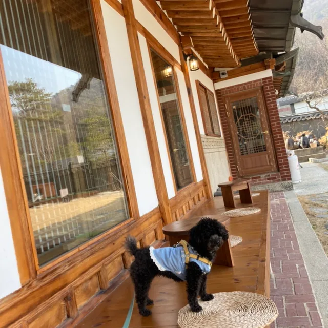 콩이언니