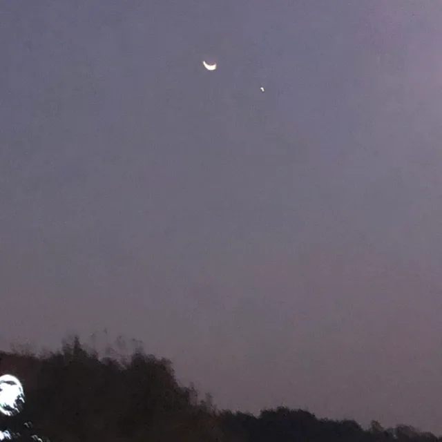 두개의심장