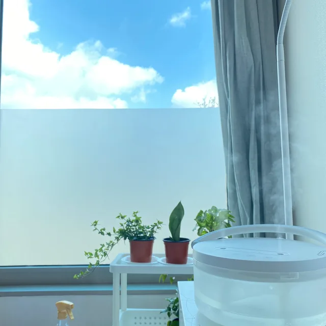 똔오