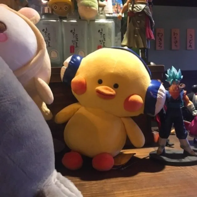 완벽한콩순이