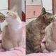 쏘미
