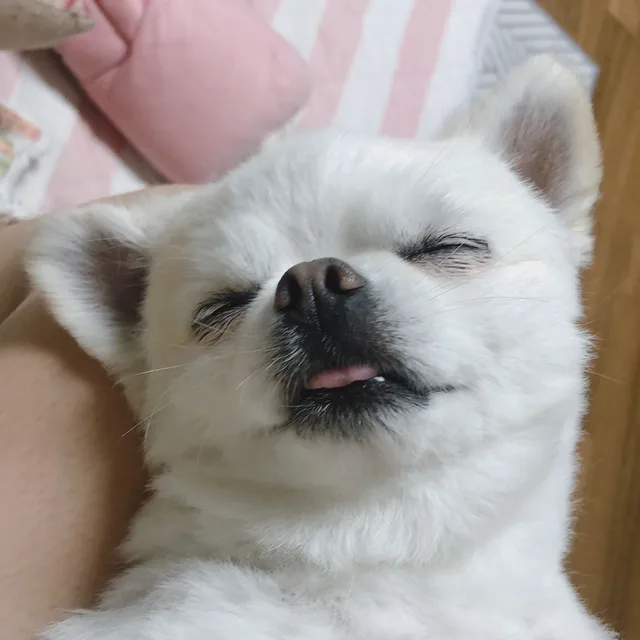 동동구리