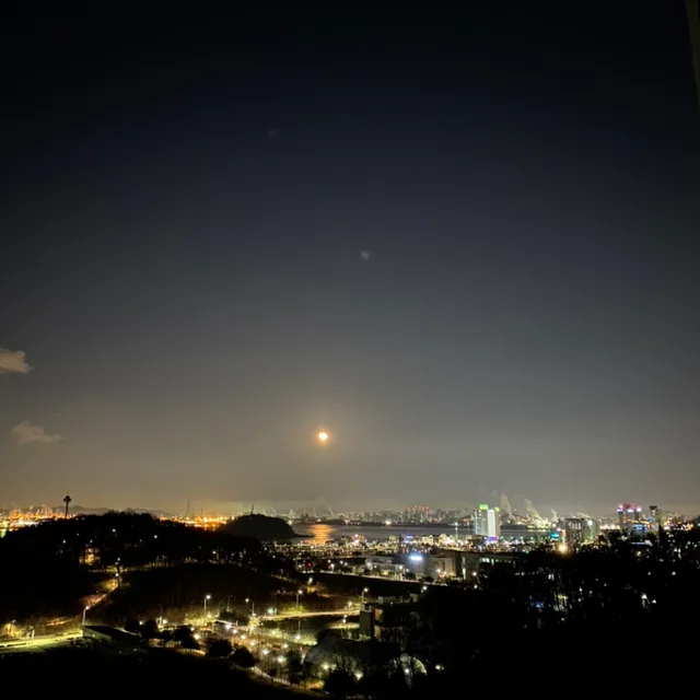 또리루리