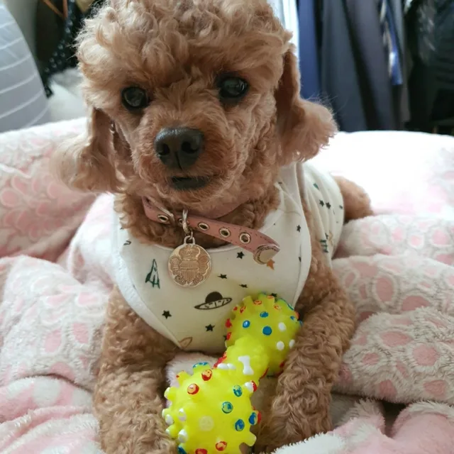 튼트니