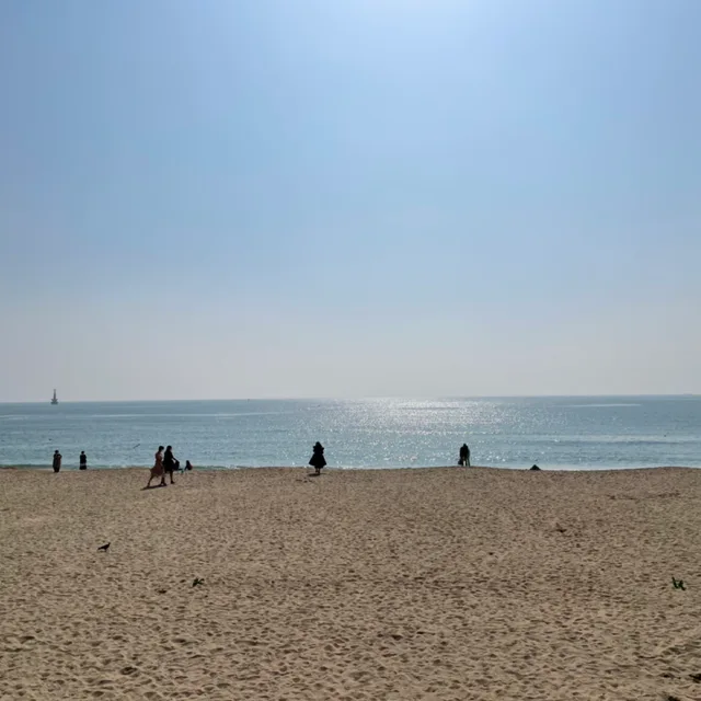 바오밥
