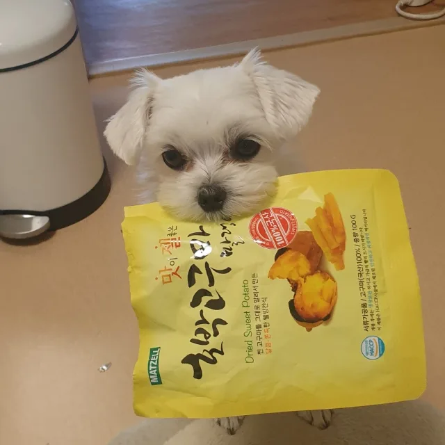 두부쑝