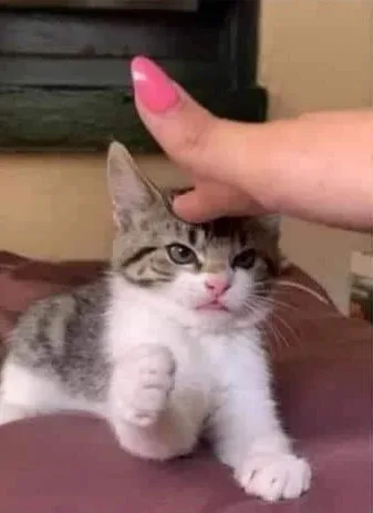 무니