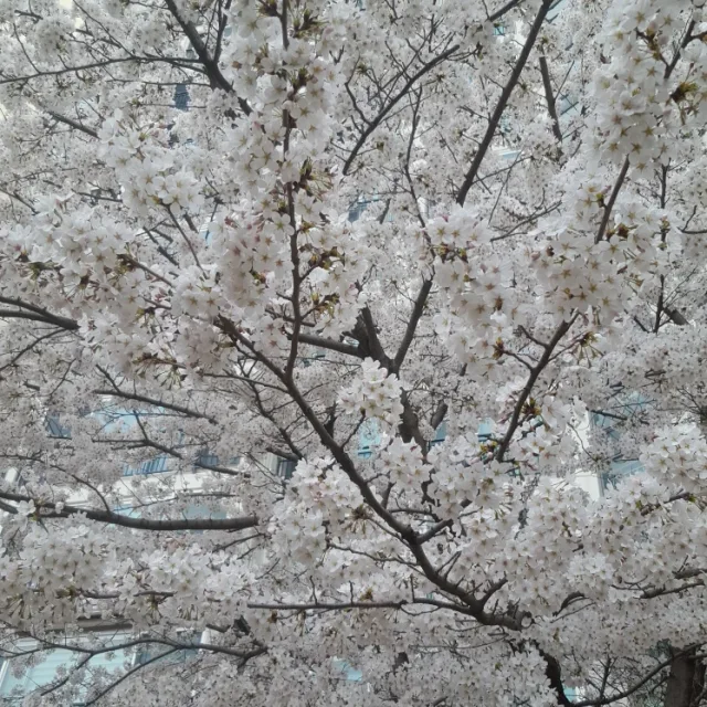 클석