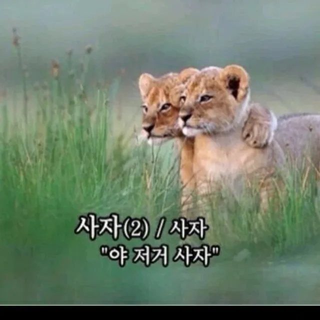 류챠리