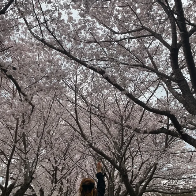 별사랑