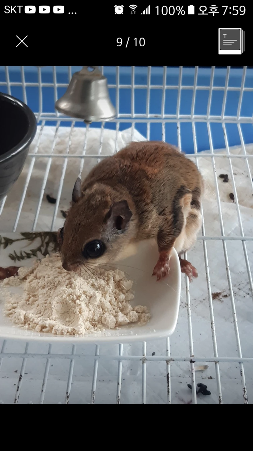 행복하세요