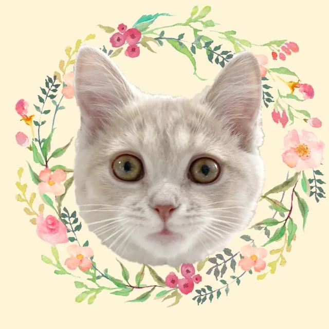 바그다드봉