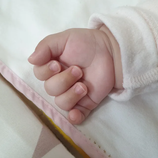콩이